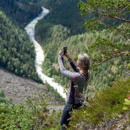 Groven & Hyttegrend *