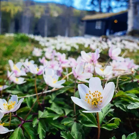 Groven & Hyttegrend אכסניה *