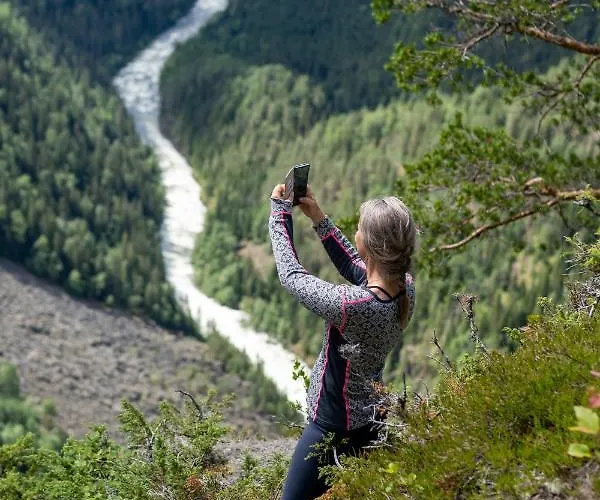 Groven & Hyttegrend *